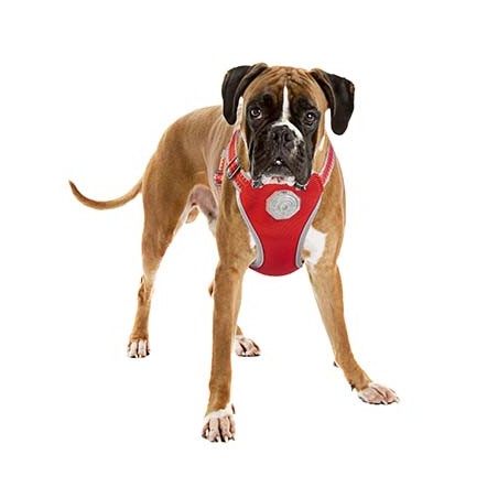 Flashlight harnas met looplijn