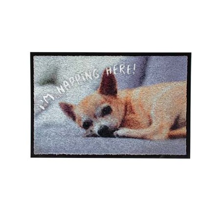 Vloermat indoor i'm napping here! 60x40x0,6cm