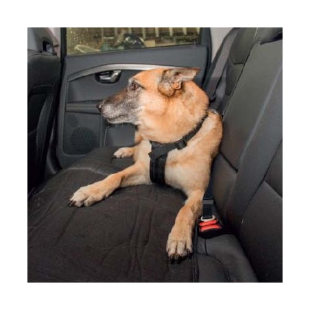 Veiligheidsharnas hond auto (50-75cm)