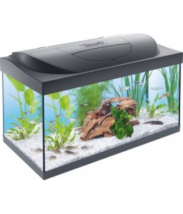 Tetra Starter Line LED aquarium, 54 liter