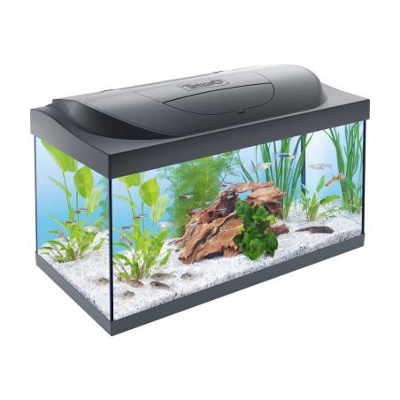 Tetra Starter Line LED aquarium, 54 liter