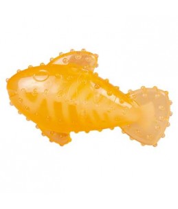 Chew 'n play fish Oranje (16,7x9,9x6cm)