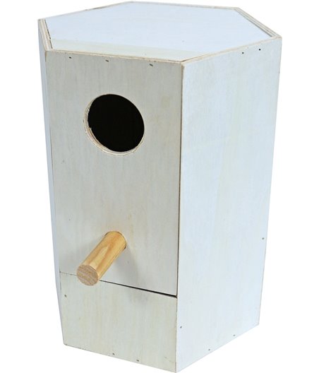 Boon bourksblok, zeskant.