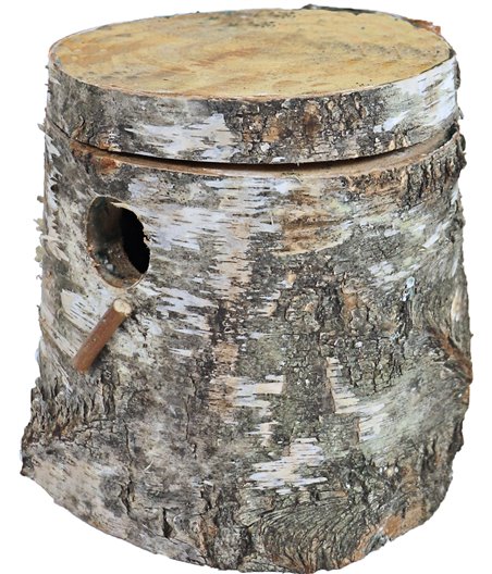 Boon broedblok berkenhout, parkieten.