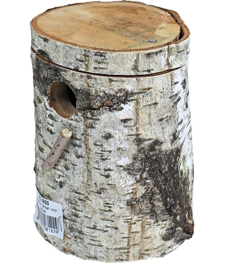 Boon broedblok berkenhout, exoten.