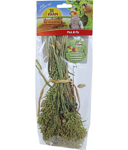 JR Farm grote parkiet & papegaai pick & fly, 130 gram.