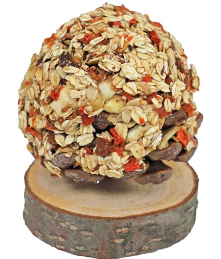 JR Farm knaagdier fruit boom, 270 gram