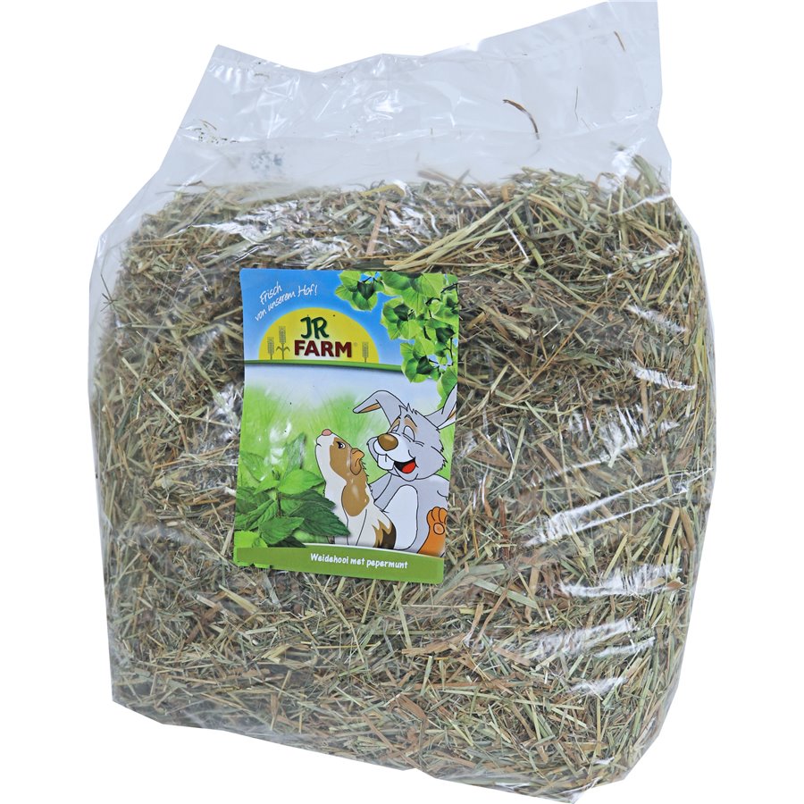 JR Farm knaagdier weidehooi met pepermunt, 500 gram