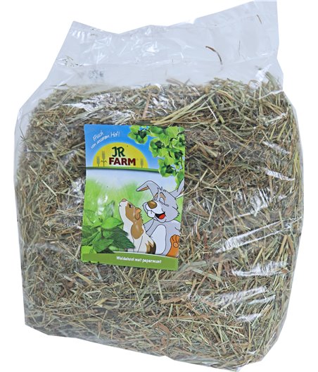 JR Farm knaagdier weidehooi met pepermunt, 500 gram