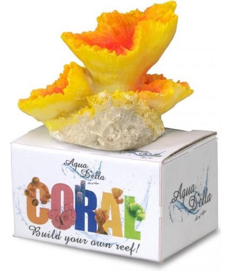 Koraal encrusting fungi - 8,5x6,5x4,7CM