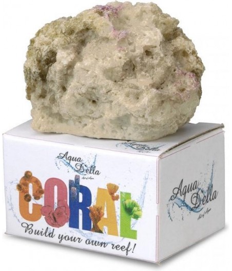 Koraal reef filling - 8,5x7,7x3,5CM