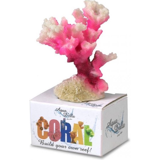 Koraal cauliflower Wit/roze...