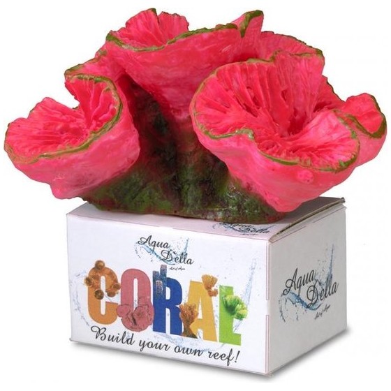 Koraal open brain - 11x9x8CM