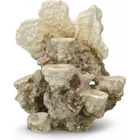 Koraal reef ML - 21x18x31CM