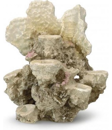 Koraal reef ML - 21x18x31CM