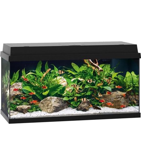 Juwel aquarium primo 110