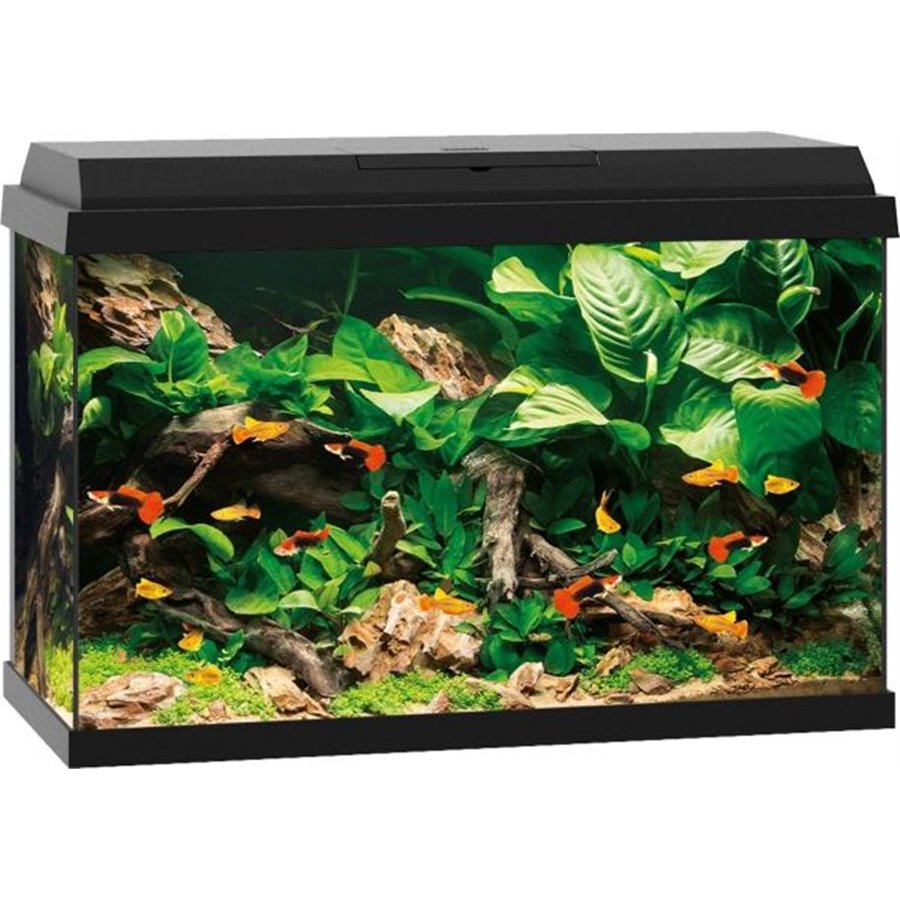 Juwel aquarium primo 70