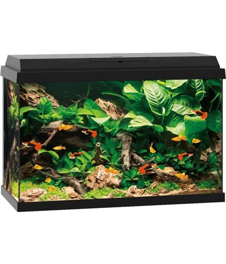 Juwel aquarium primo 70