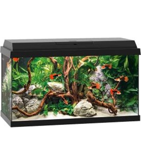 Juwel aquarium primo 60