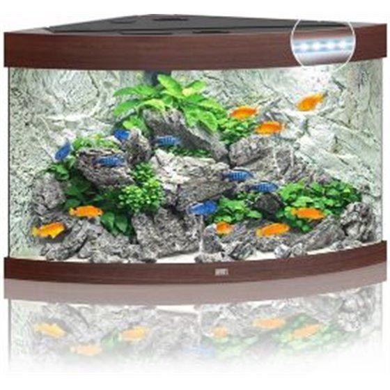 Juwel aquarium trigon 190 led