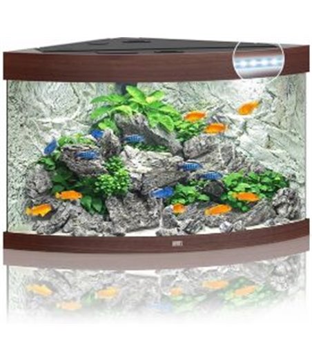 Juwel aquarium trigon 190 led
