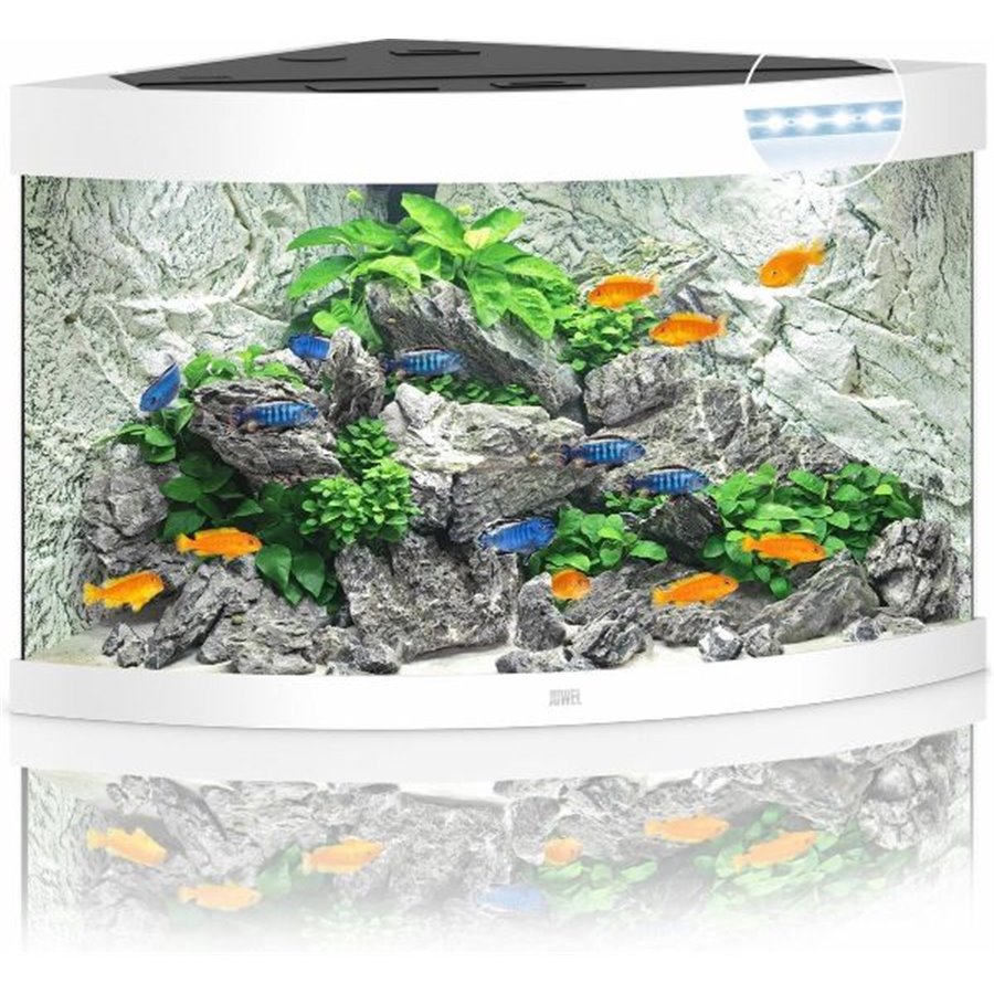 Juwel aquarium trigon 190 led