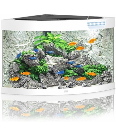 Juwel aquarium trigon 190 led