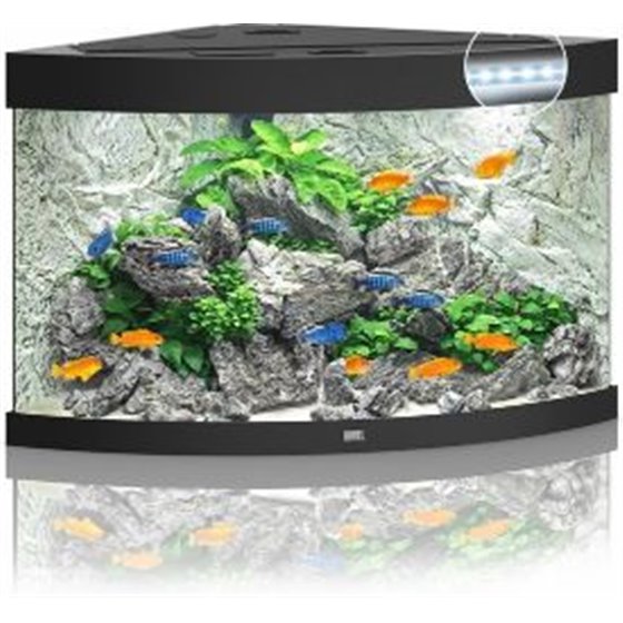 Juwel aquarium trigon 190 led
