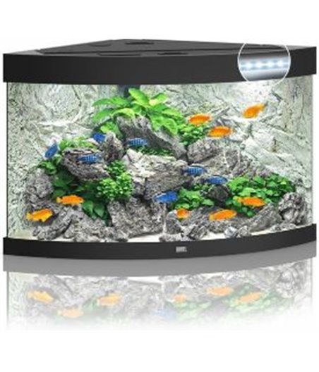 Juwel aquarium trigon 190 led