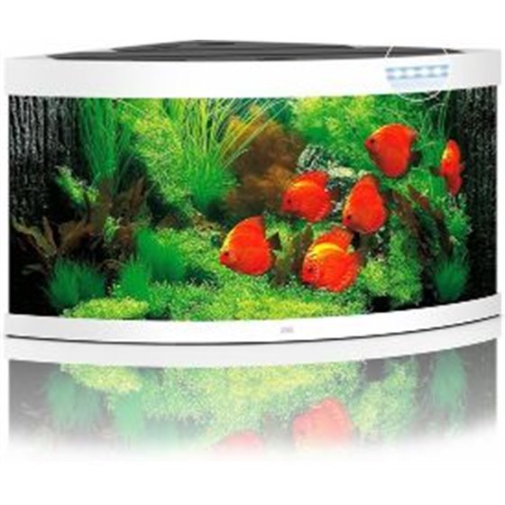 Juwel aquarium trigon 350 led