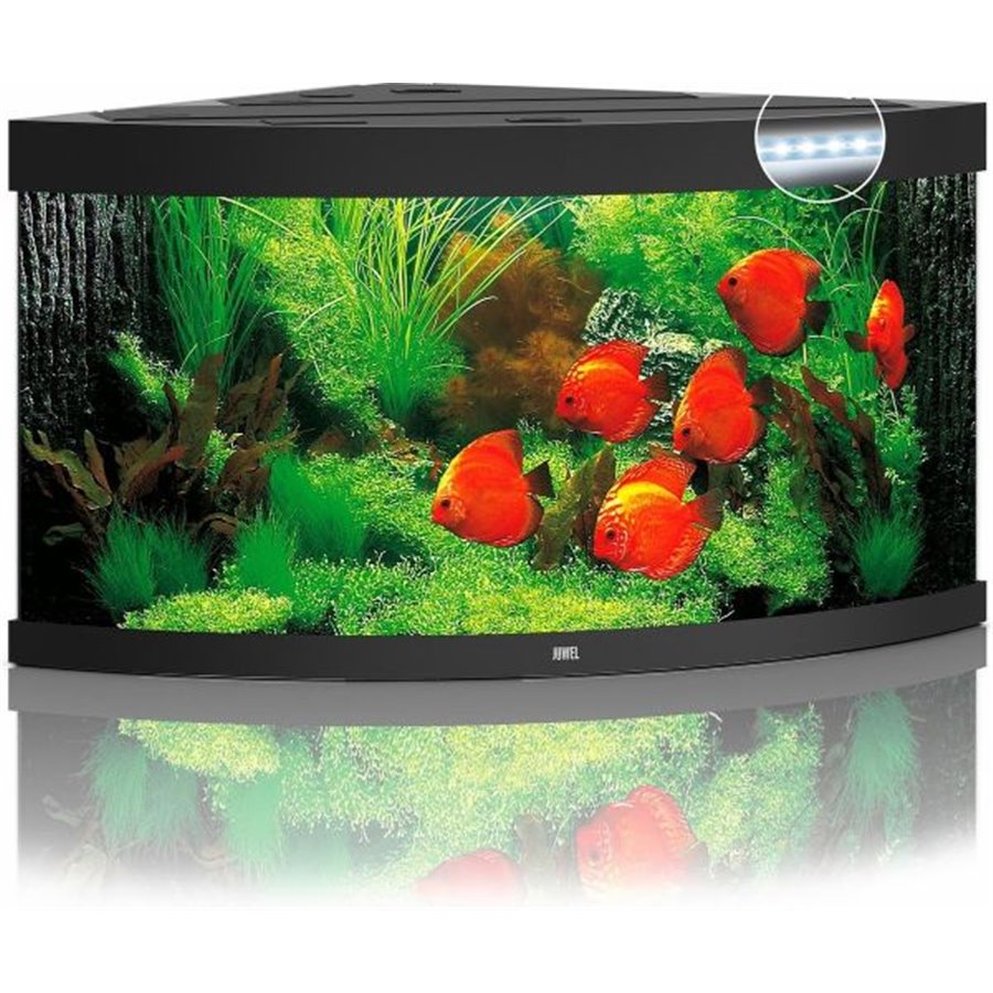 Juwel aquarium trigon 350 led
