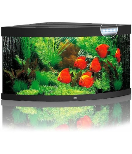 Juwel aquarium trigon 350 led