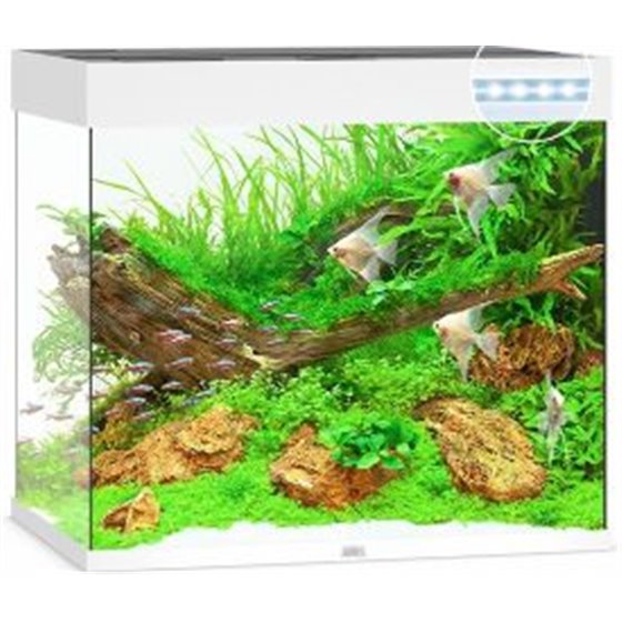 Juwel aquarium lido 200 led