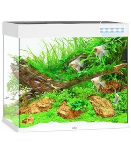 Juwel aquarium lido 200 led