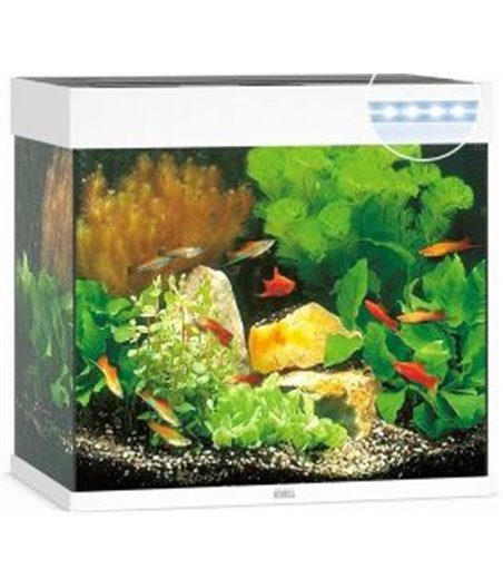 Juwel aquarium lido 120 led