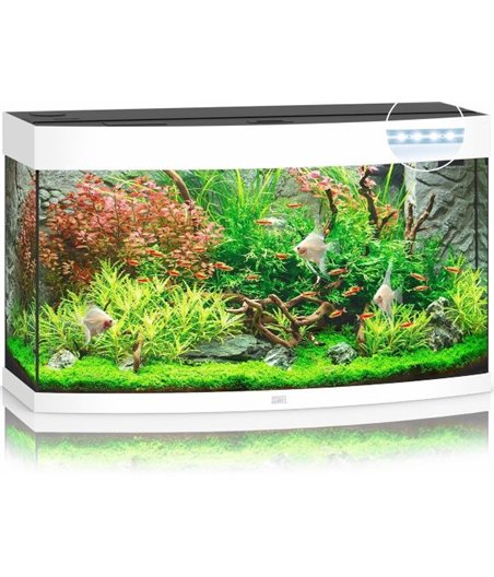 Juwel aquarium vision 180 led