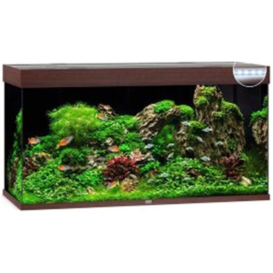 Juwel aquarium rio 350 led