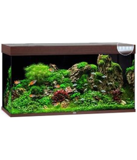 Juwel aquarium rio 350 led