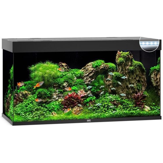 Juwel aquarium rio 350 led
