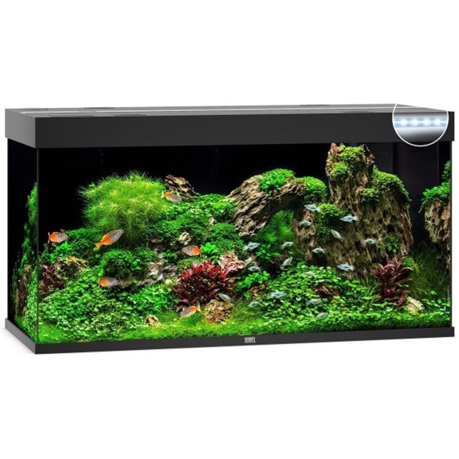 Juwel aquarium rio 350 led