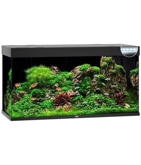 Juwel aquarium rio 350 led