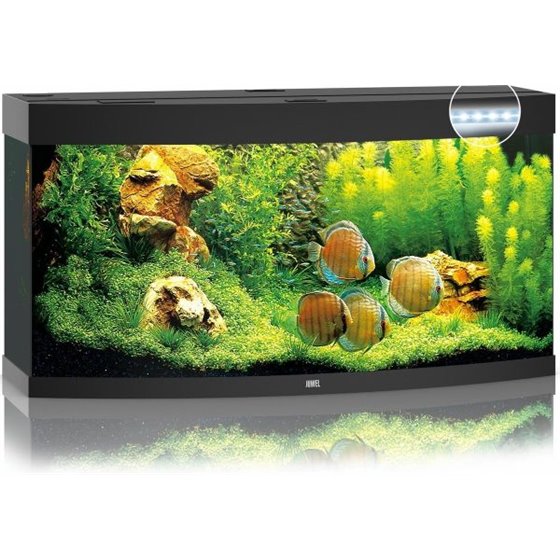 Juwel aquarium vision 260 led