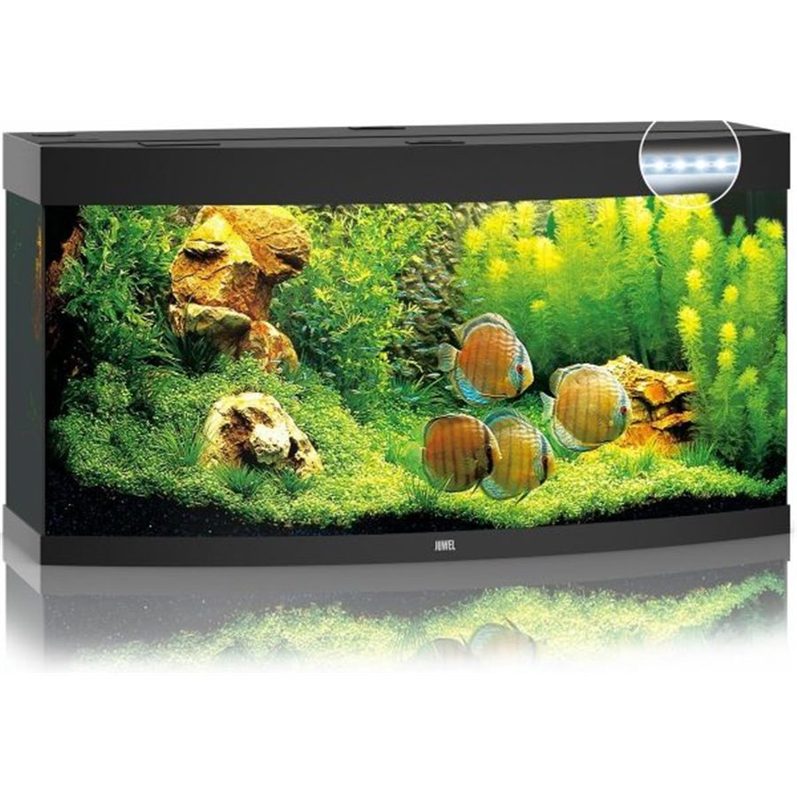 Juwel aquarium vision 260 led
