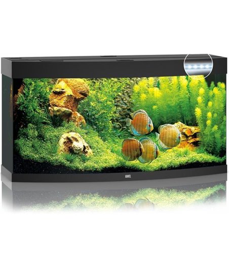 Juwel aquarium vision 260 led