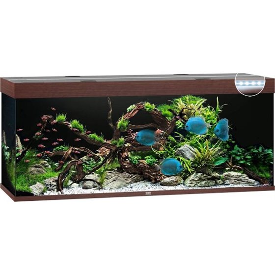 Juwel aquarium rio 450 led