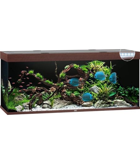 Juwel aquarium rio 450 led