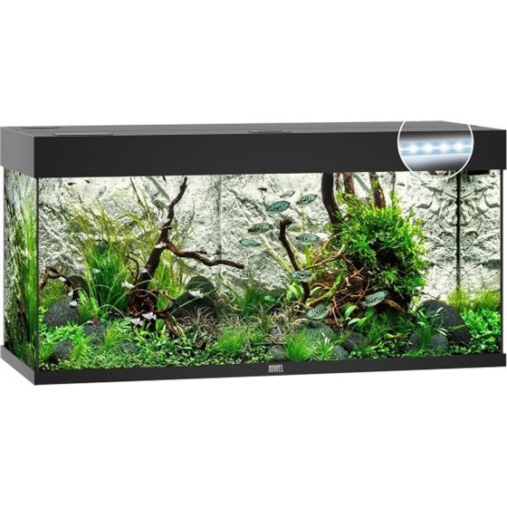 Juwel aquarium rio 180 led