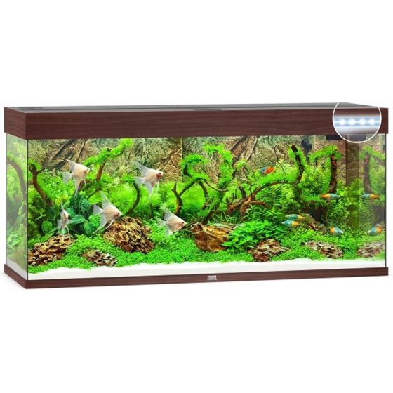 Juwel aquarium rio 240 led
