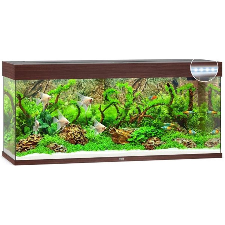 Juwel aquarium rio 240 led