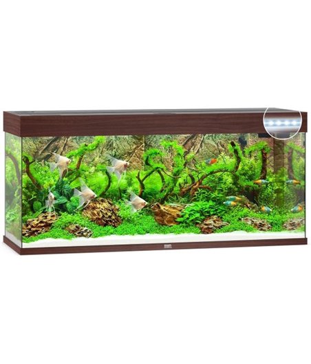 Juwel aquarium rio 240 led